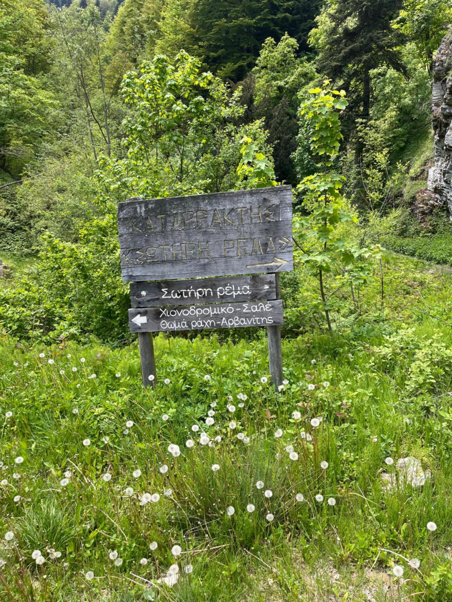 Elatovillage * Elatochori