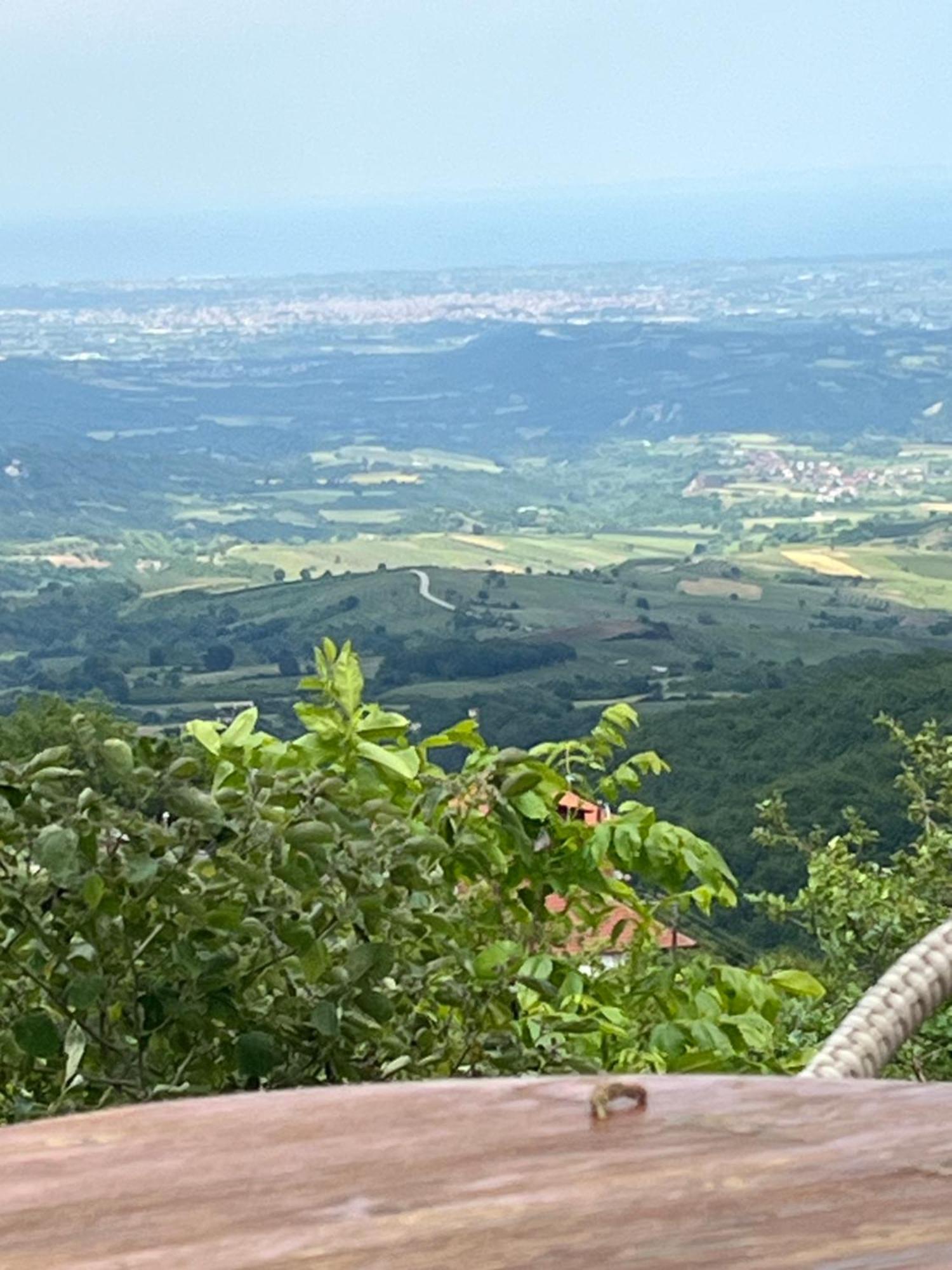 Elatovillage *